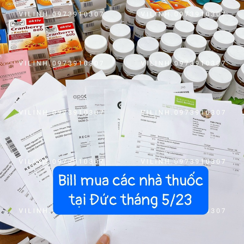 SANCT BERNHARD SANCT BERNHARD GINKGO KAPSELN 75MG - 30, 240VIÊN