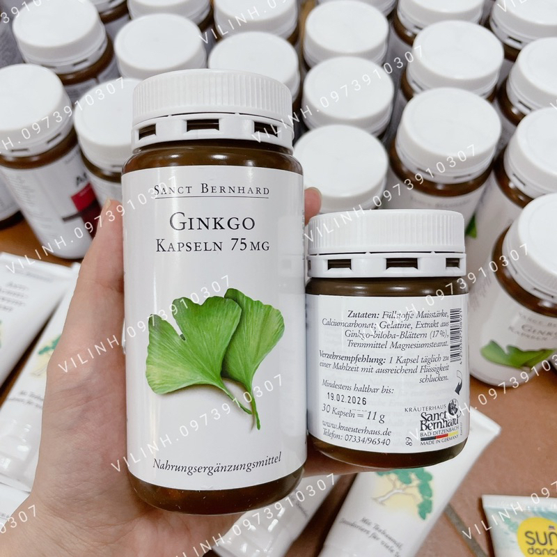 SANCT BERNHARD SANCT BERNHARD GINKGO KAPSELN 75MG - 30, 240VIÊN