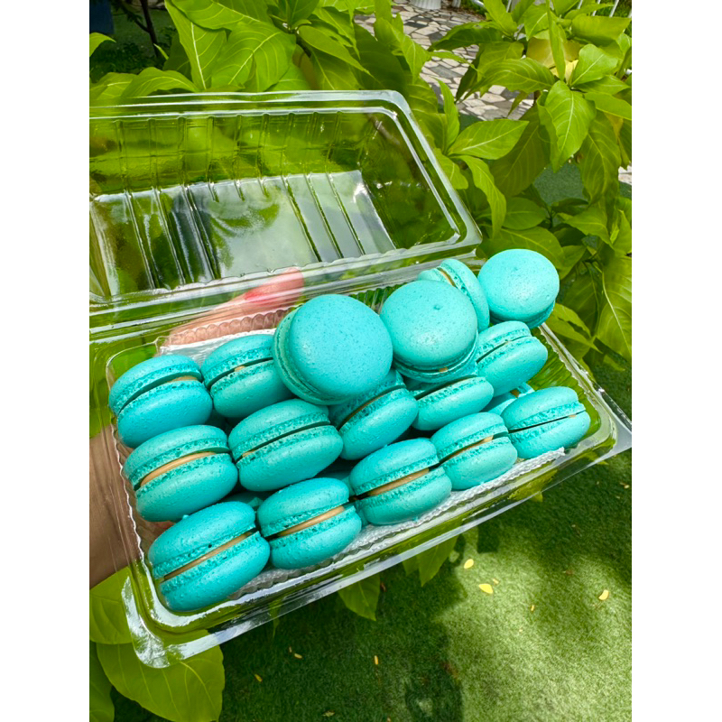 Bánh MACARON Medium size-2,5-3cm - 10 bánh