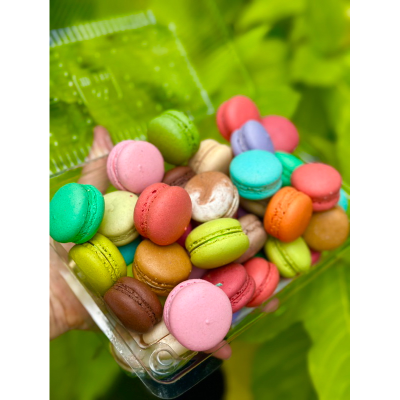 Bánh MACARON Medium size-2,5-3cm - 10 bánh