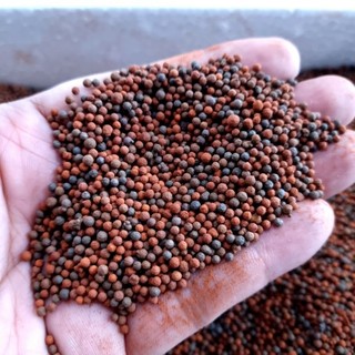 Nền gốm thủy sinh - hạt gốm trải nền - đen và đỏ - 100g - 300g - tép xinh aqua