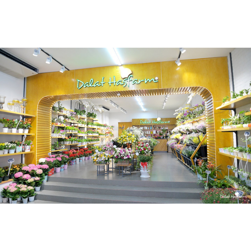 Dưỡng hoa lâu tàn Chrysal Chất dưỡng hoa tươi lâu, không gây hư nước