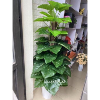 Cây trầu bà 1,6m 63 lá kèm chậu -cây giả