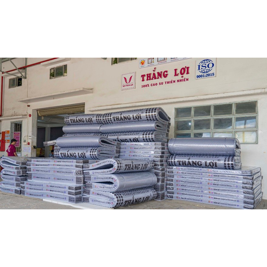 NỆM FOAM HOẠT TÍNH CAO CẤP THẮNG LỢI  MIỄN SHIP