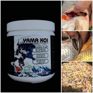 Thuốc đặc trị nấm mang ( yamakoi trị nấm mang, lở loét, vi nấm gây hại cho cá)