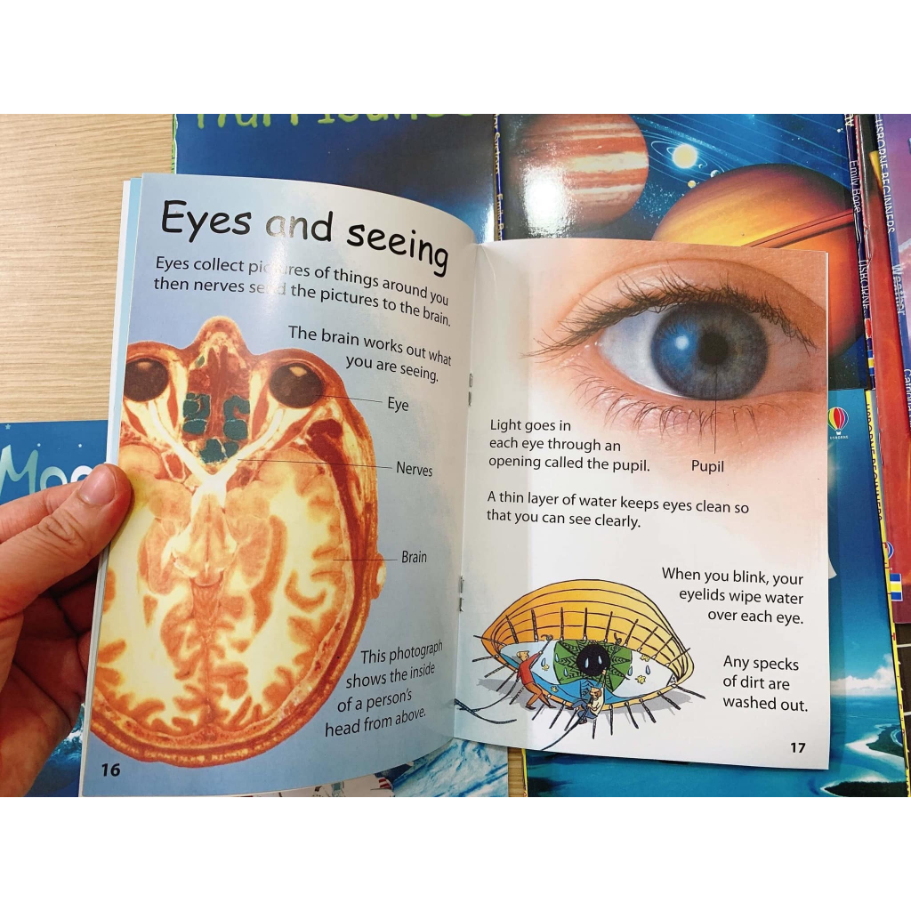 𝑼𝑺𝑩𝑶𝑹𝑵𝑬 𝑩𝑬𝑮𝑰𝑵𝑵𝑬𝑹𝑺 𝑺𝑪𝑰𝑬𝑵𝑪𝑬