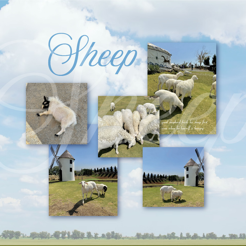 Poster postcard scenery trang trí phong cách aesthetic: Healing time