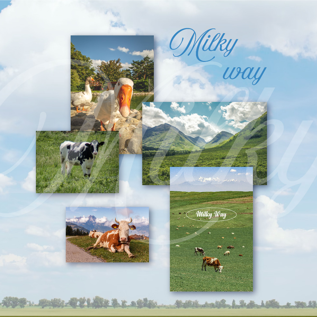 Poster postcard scenery trang trí phong cách aesthetic: Healing time