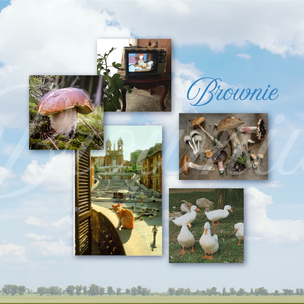 Poster postcard scenery trang trí phong cách aesthetic: Healing time