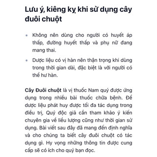 cây đuôi chuột trồng chậu(3 cây), cây tươi cắt giao(1kg)