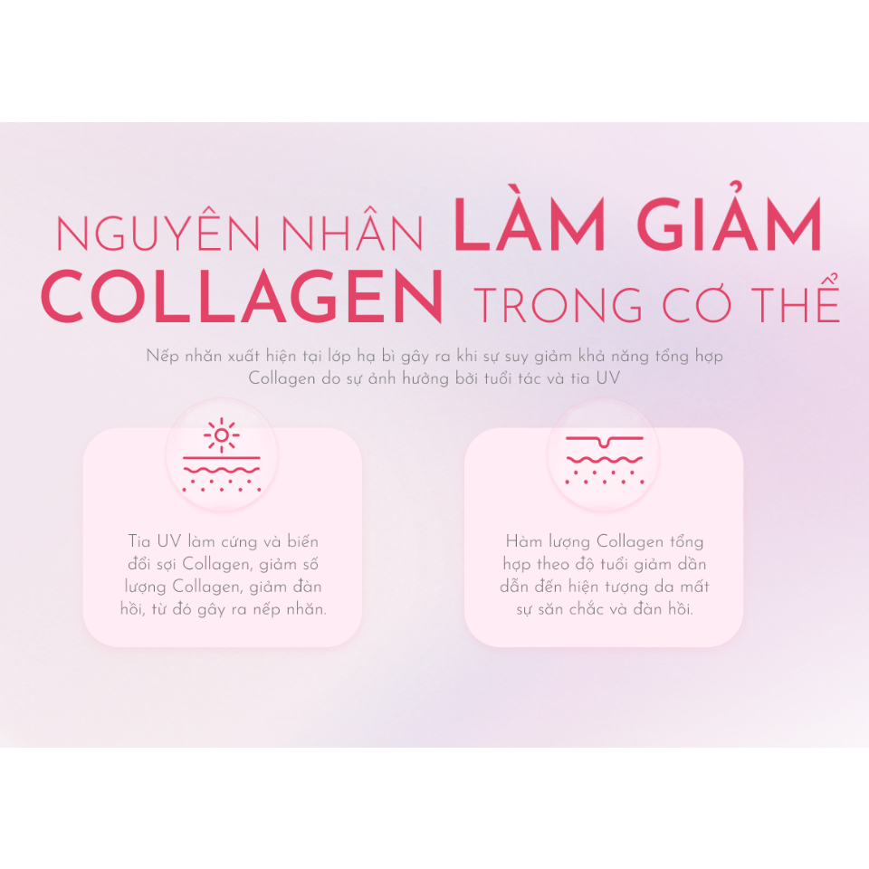 Hộp 10 chai Collagen nội địa Nhật Bản Alfe Deep Essence 50ml/chai - Ceramide chống lão hoá 3000µg dưỡng ẩm