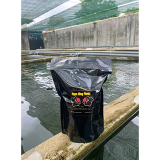 Cám Cá Vàng , Đạm Cực Cao (~60%) Chuyên Thúc Size Cá, Giúp Cá Phát Triển Nhanh & Toàn Diện Nhất ..v.v.