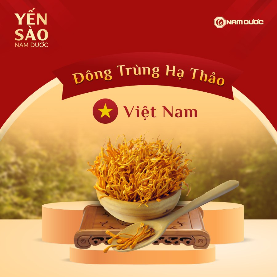 Tổ yến chưng sẵn Combo 50 hũ Yến sào Nam Dược - tổ yến chưng đường phèn, bồi bổ sức khỏe, tăng sức đề kháng