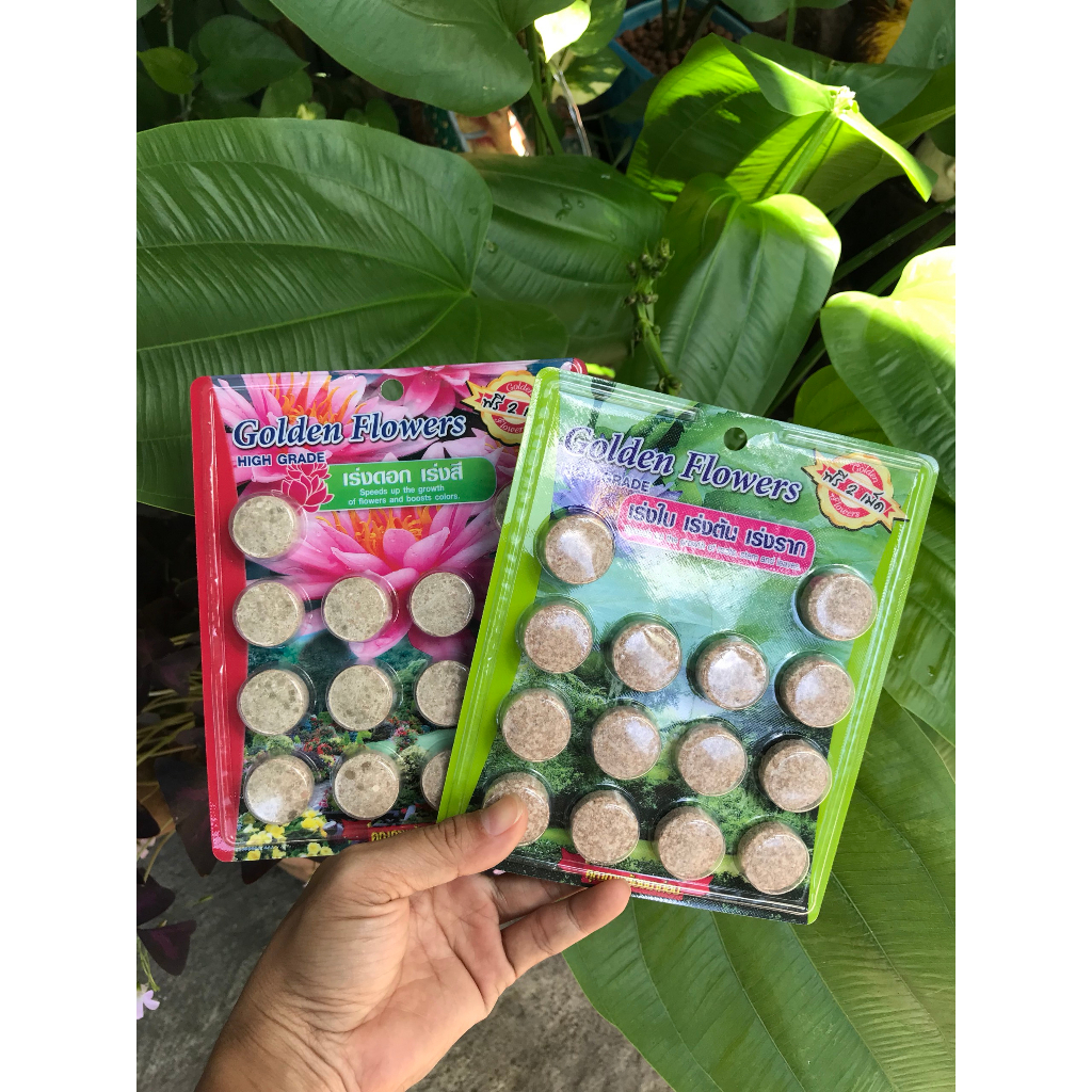 Viên phân bón Thái Lan chuyên dùng cho hoa sen, súng