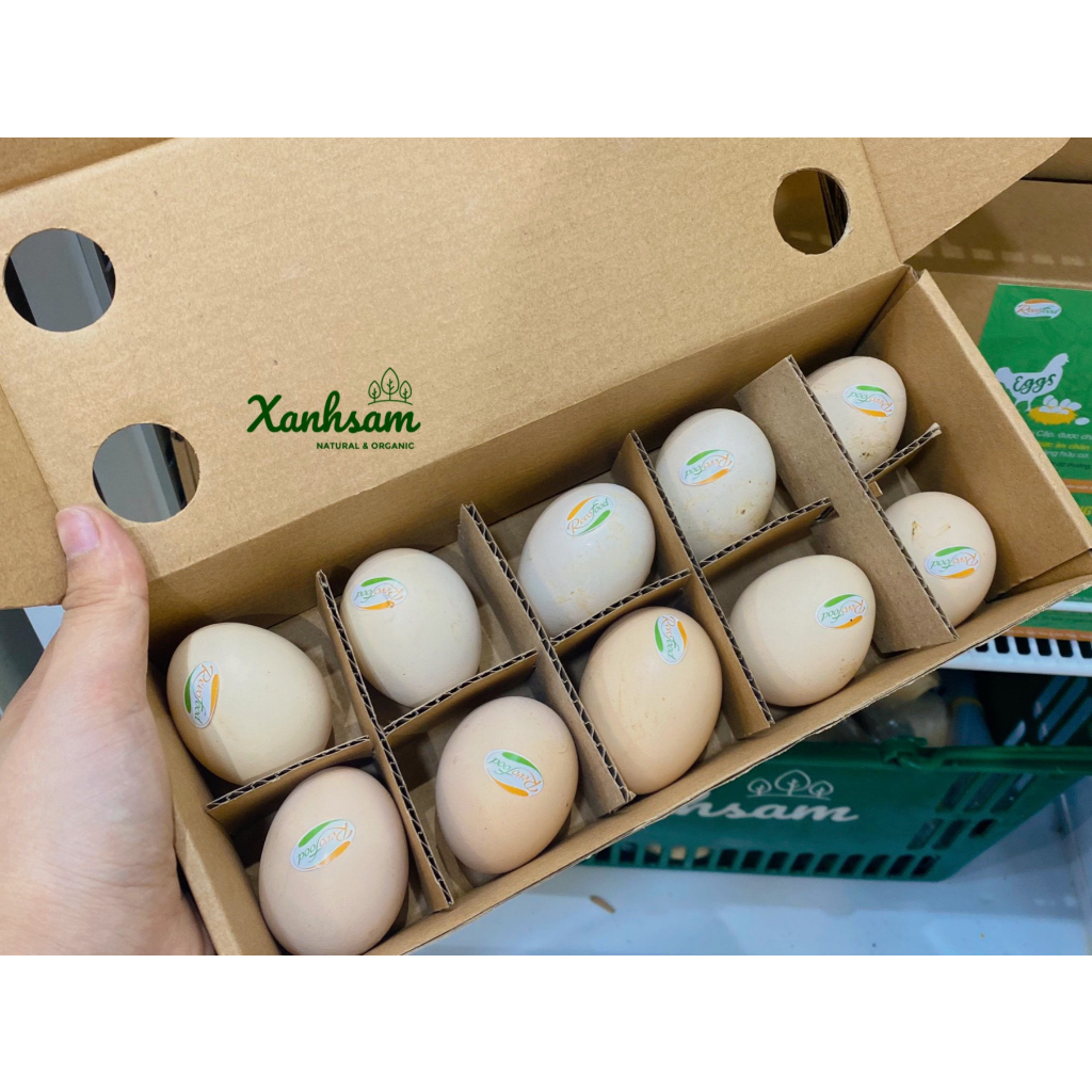 Trứng gà tự nhiên Revofood-XanhSam Organic