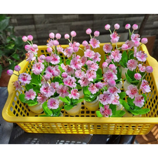 Chậu hoa Nhài bằng đất sét Nhật