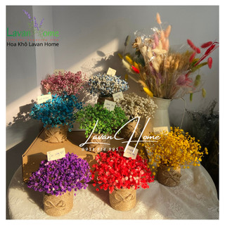 Lọ hoa khô baby để bàn nhiều màu sắc đẹp decor trang trí bàn học bàn làm việc phong cách vintage xinh xắn - Lavan Home