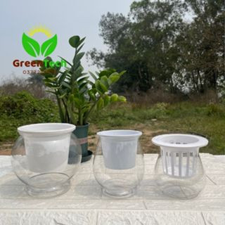 10 chậu nhựa trồng cây thủy sinh - chậu giả thủy tinh trồng thủy sinh