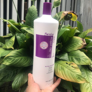 Dầu gội khử sắc tố vàng Fanola No Yellow Shampoo 1000ml *NEW*