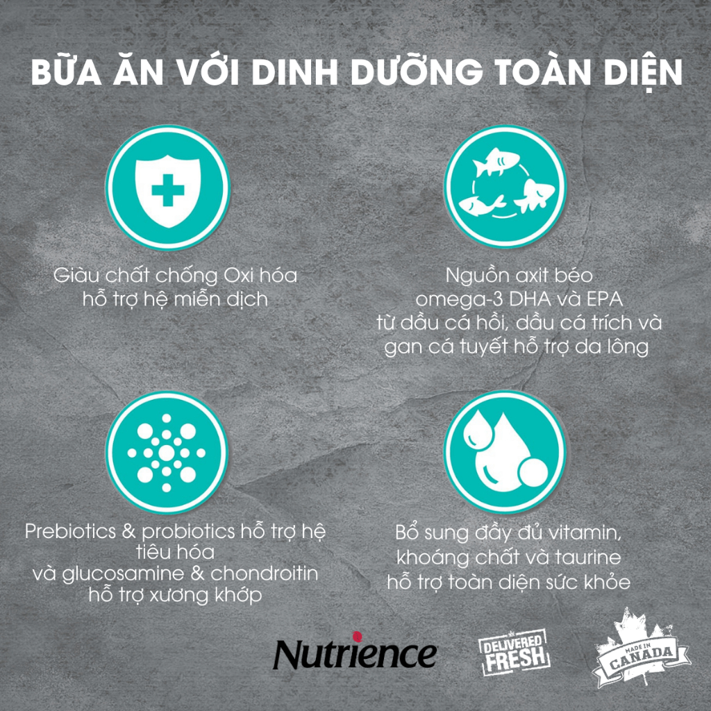 Nutrience Infusion Adult Indoor thức ăn cho mèo trưởng thành - thịt gà, dầu cá hồi và rau củ trái cây tự nhiên 2.27kg