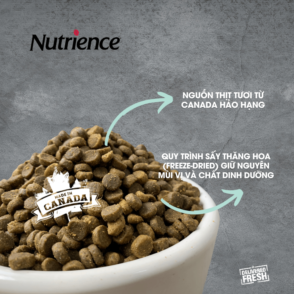 Nutrience Infusion Adult Indoor cho mèo trưởng thành - thịt gà và rau củ trái cây tự nhiên 5kg