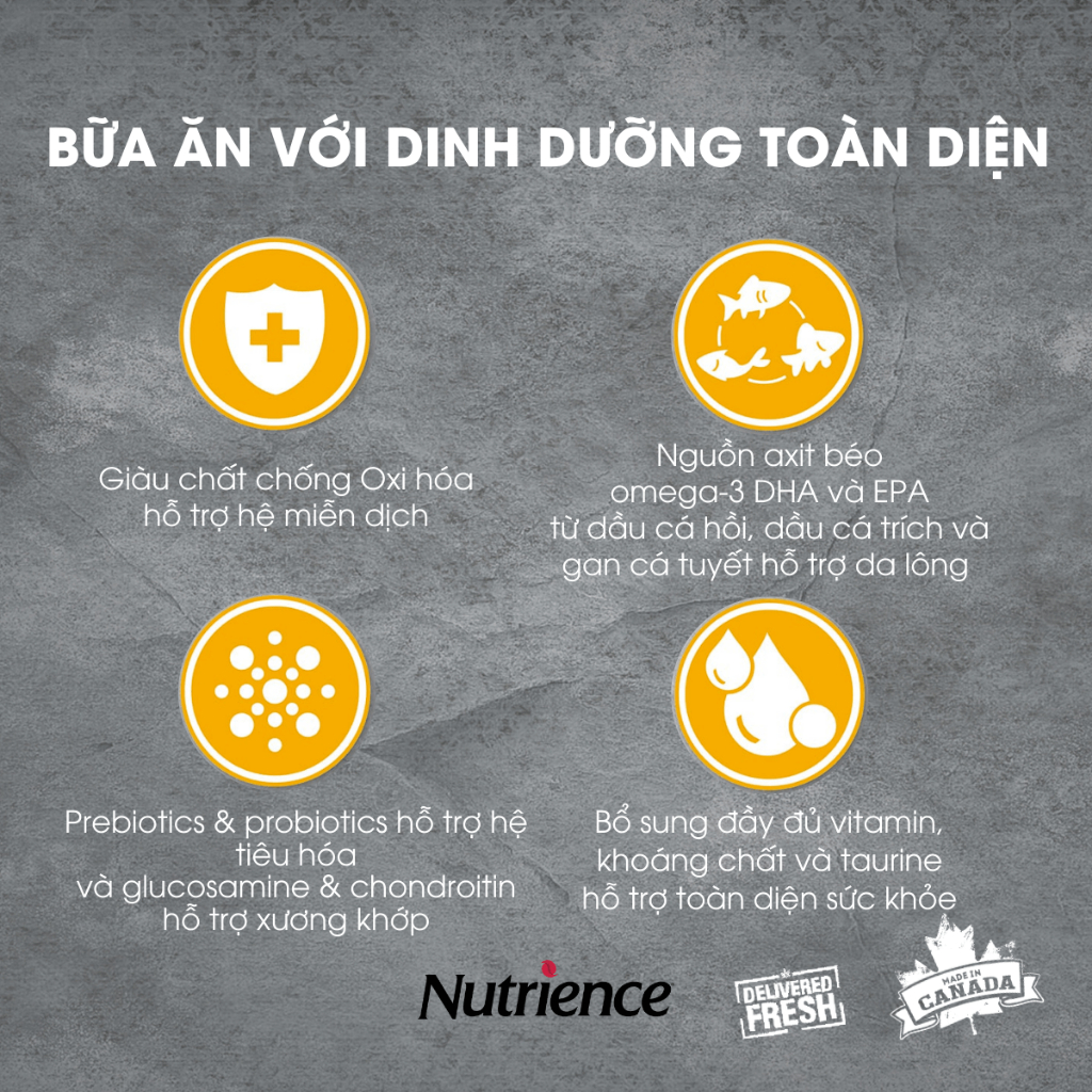 Nutrience Infusion Healthy Adult thức ăn cho chó trung bình lớn - thịt gà và rau củ trái cây tự nhiên 500g