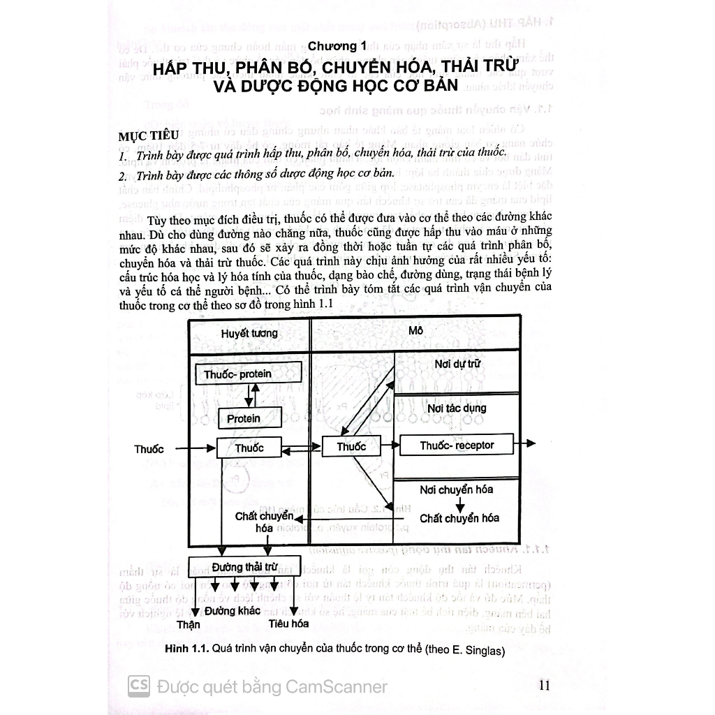 Benito - Sách - Dược lý học Tập 1 - Đào tạo dược sĩ đại học