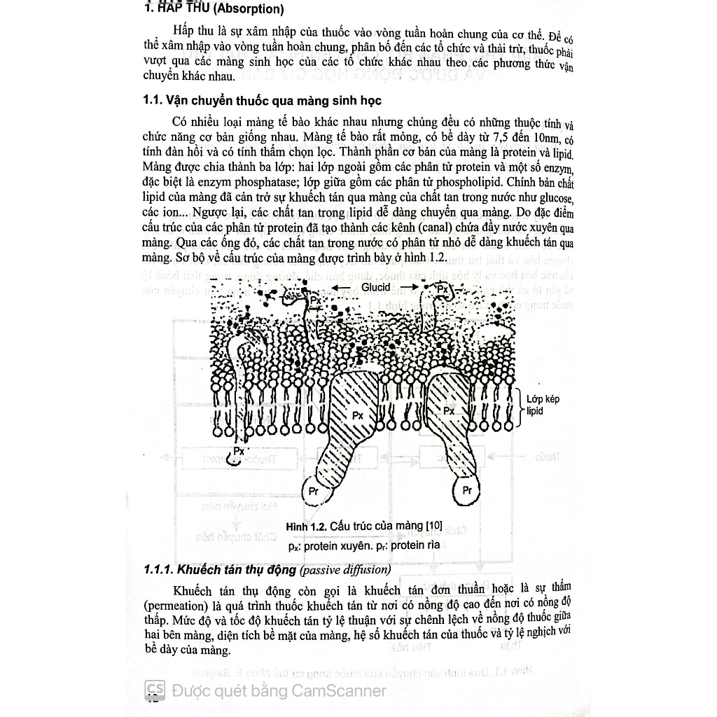 Benito - Sách - Dược lý học Tập 1 - Đào tạo dược sĩ đại học