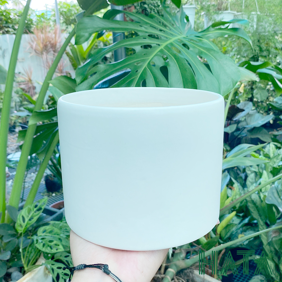 Chậu gốm sứ trụ trơn cặp nhiều màu sắc. Hatagarden