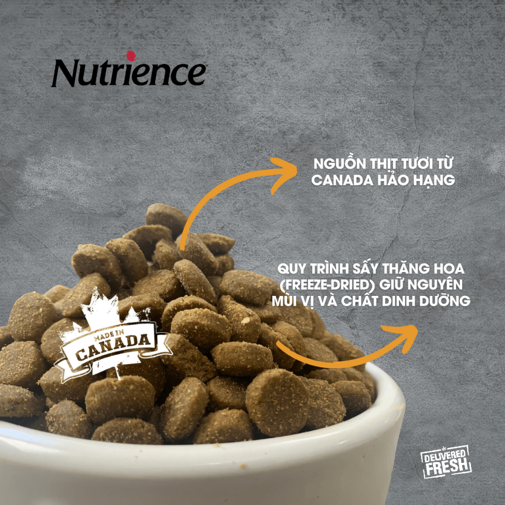 Nutrience Infusion Healthy Adult thức ăn cho chó trung bình lớn - thịt gà và rau củ trái cây tự nhiên 500g