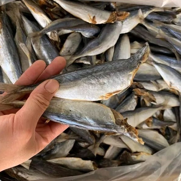 cá nục dai, ngon 500gr