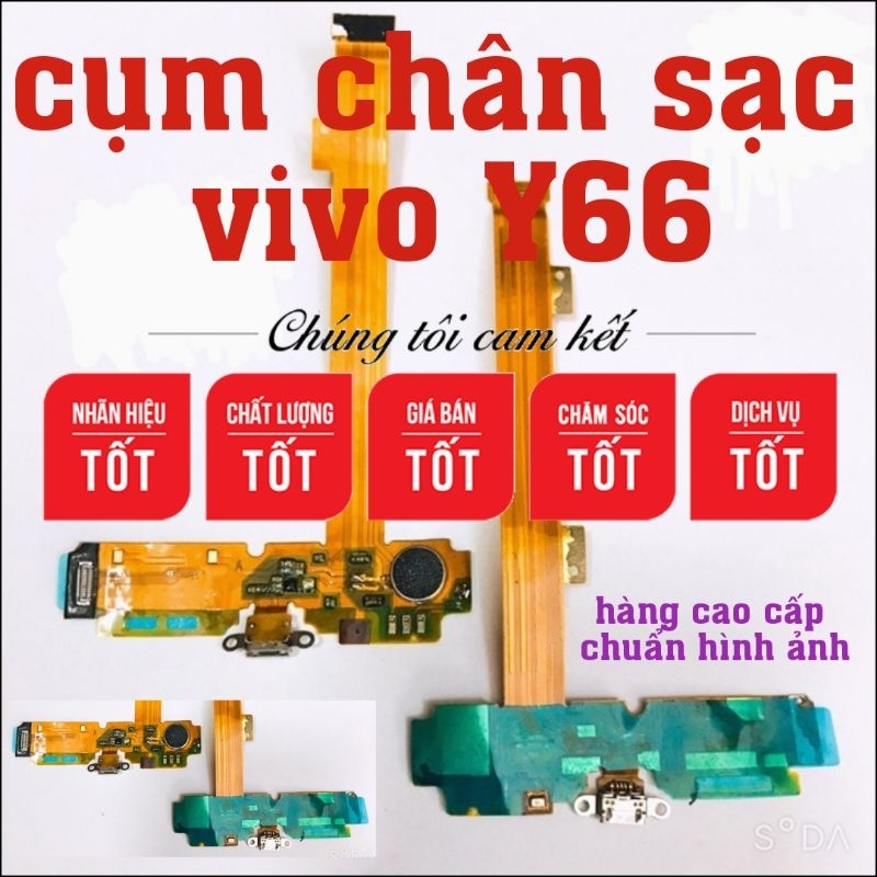 Cụm cáp sạc vivo Y66