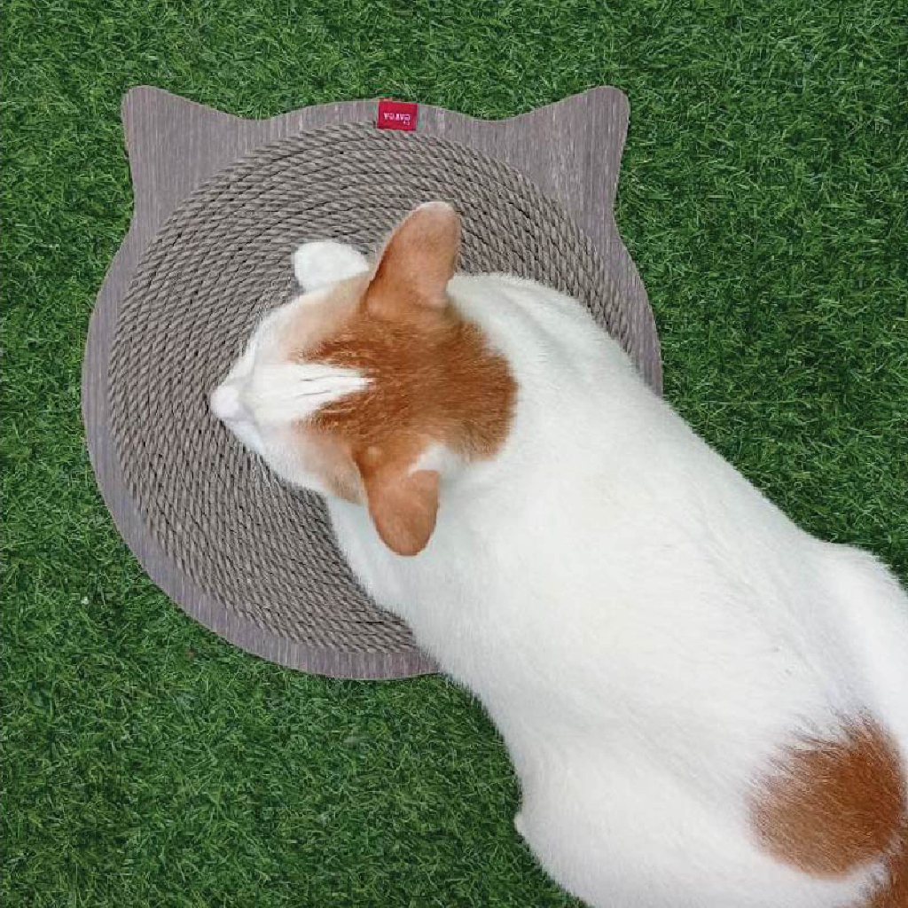Bàn cào móng siêu bền thừng tái sinh sạch nhà  29*29 cm