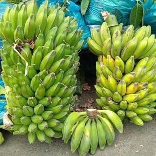 1kg Chuối hột tươi