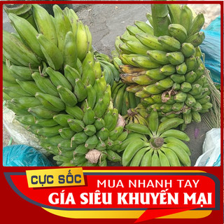 1kg Chuối hột tươi