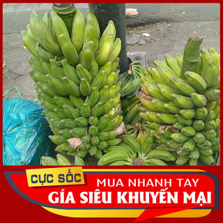 1kg Chuối hột tươi