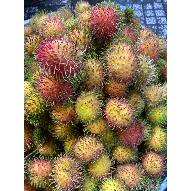 Chôm chôm nhãn tươi ngon, giòn ngọt