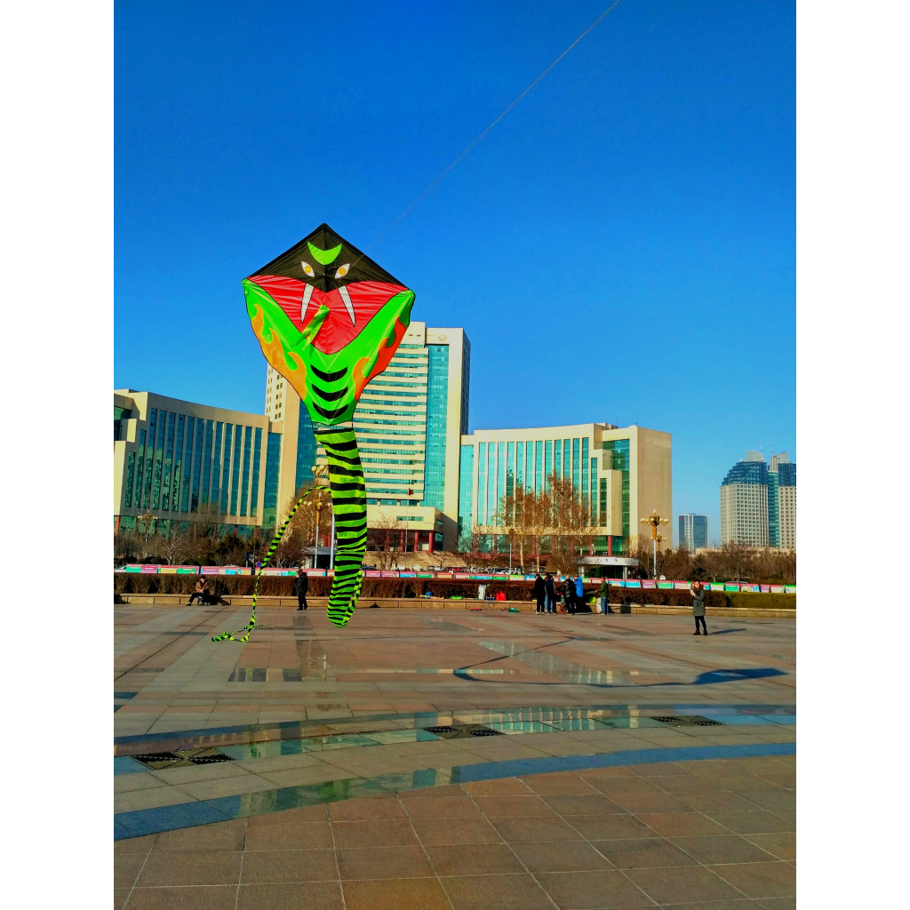 Diều Con Rắn, an toàn cho trẻ em - Hãy cùng gia đình tận hưởng mùa gió, kích thước siêu lớn 12 mét cả phần đuôi.