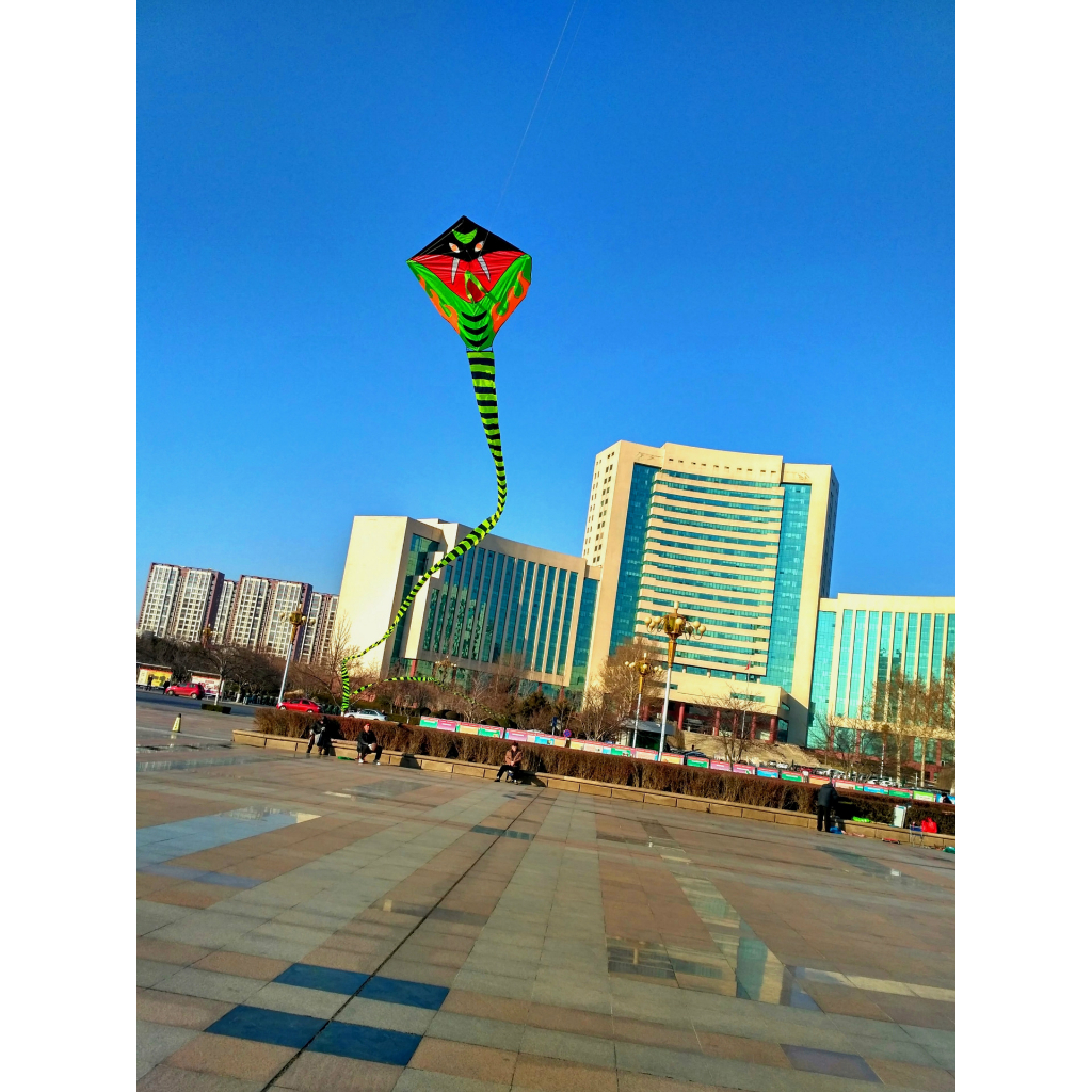 Diều Con Rắn, an toàn cho trẻ em - Hãy cùng gia đình tận hưởng mùa gió, kích thước siêu lớn 12 mét cả phần đuôi.