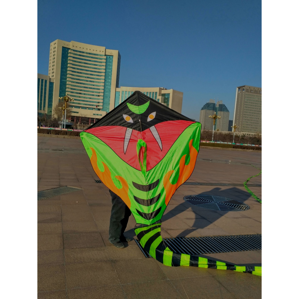 Diều Con Rắn, an toàn cho trẻ em - Hãy cùng gia đình tận hưởng mùa gió, kích thước siêu lớn 12 mét cả phần đuôi.