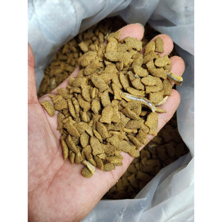 [8kg] Hạt Snappy Tom 8kg - Thức ăn hạt cho mèo Snappy Tom bao xá 8kg tiết kiệm - Topping cá khô