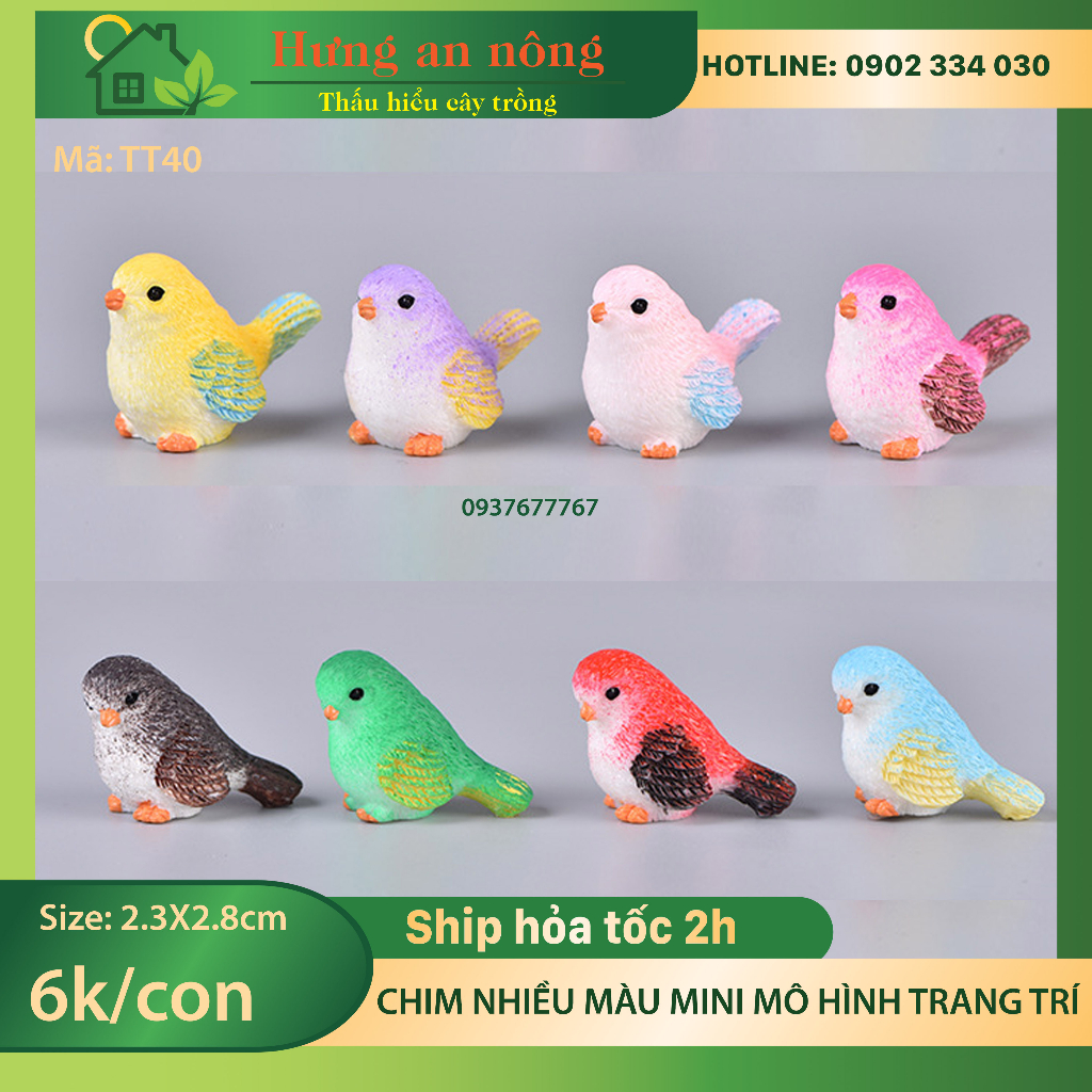 TT40 - chim mini nhiều màu trang trí tiểu cảnh sen đá xương rồng cây để bàn