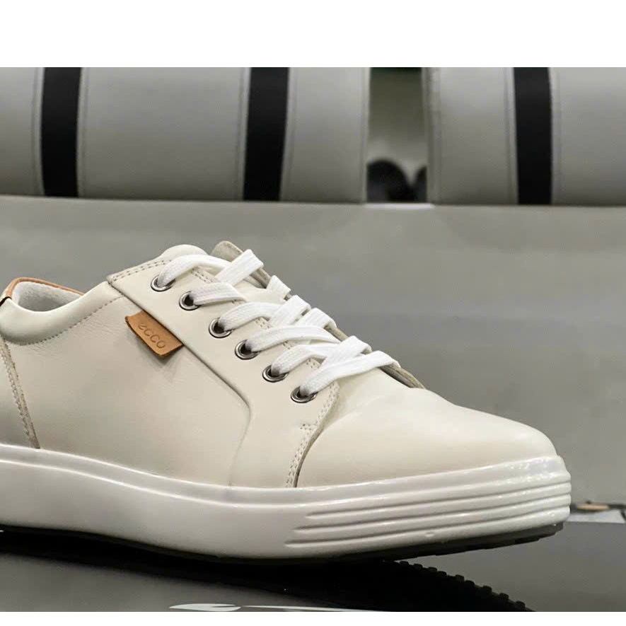 Giày Thể Thao Ecco Nam