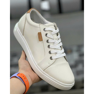 [ Chính hãng Sale ] Giày Thể Thao Ecco Nam