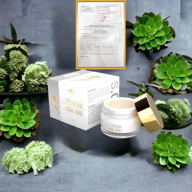 Tặng Quà - Kem Face Son Group