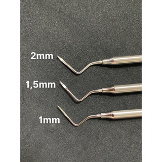 Root tip chóp