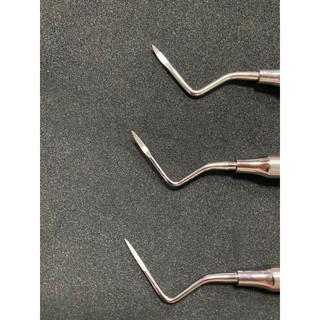ROOT TIP CHÓP