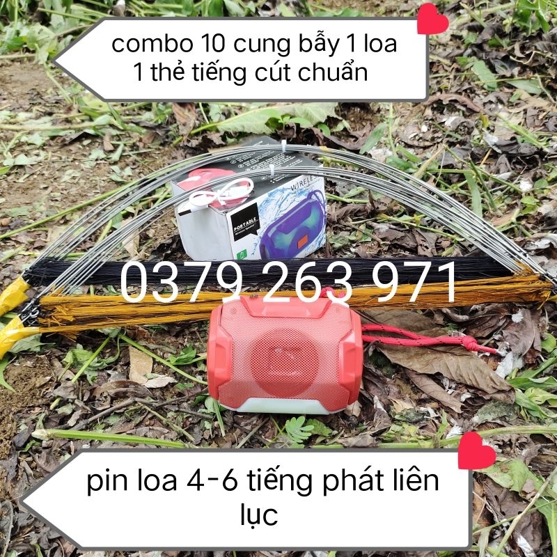 Cung bẫy chim cút siêu hiệu quả
