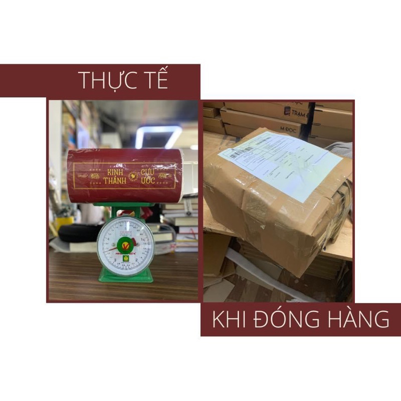Sách - Kinh Thánh Cựu Ước - Linh mục Giuse Nguyễn Thế Thuấn - Omega Plus Books