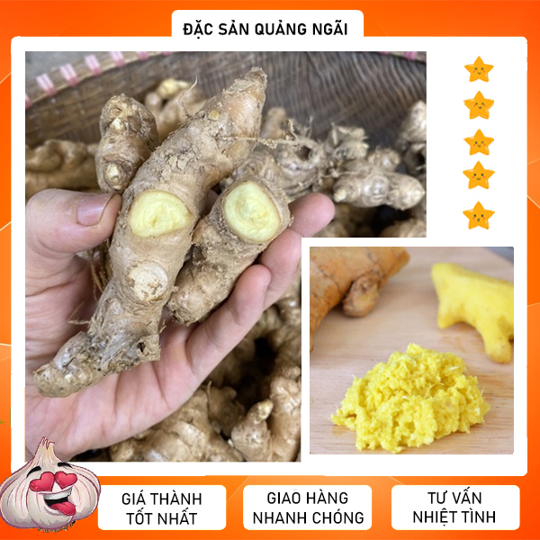 Củ gừng ta, gừng tươi quảng ngãi 🔥 1kg ⚡đặc sản quảng ngãi